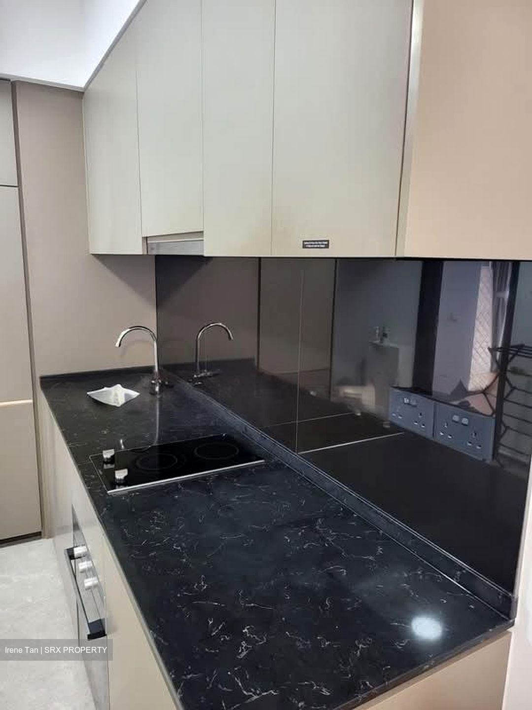 Park Colonial (D13), Condominium #530598651
